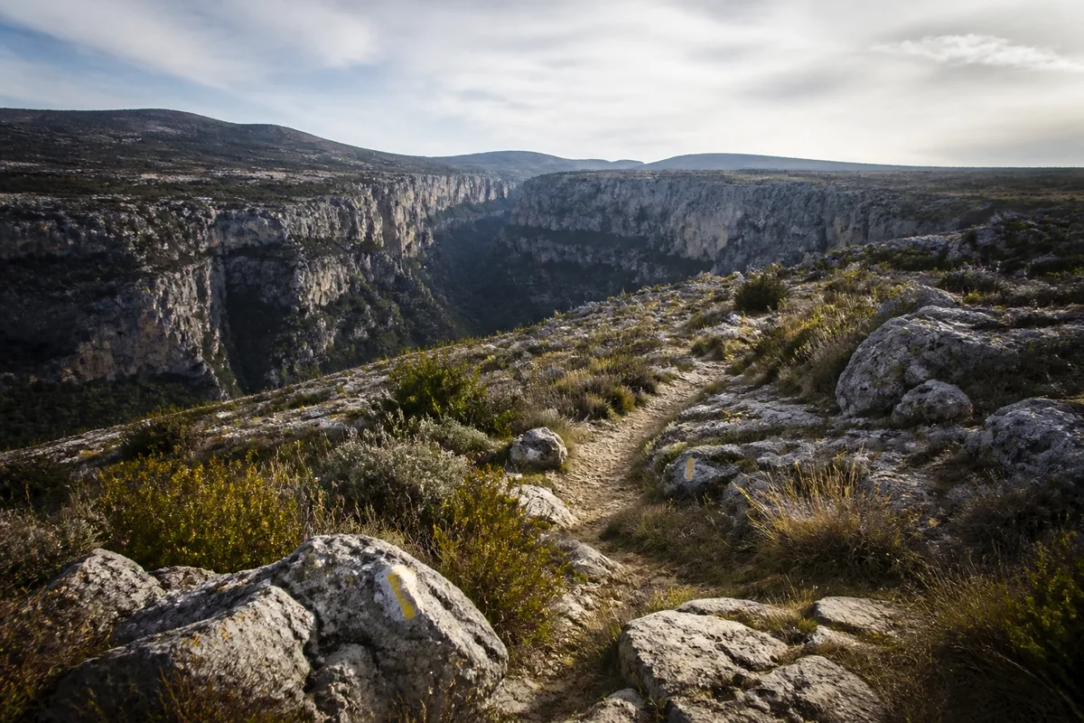 Sentier balisé serpentant sur un plateau calcaire au-dessus des gorges du Loup